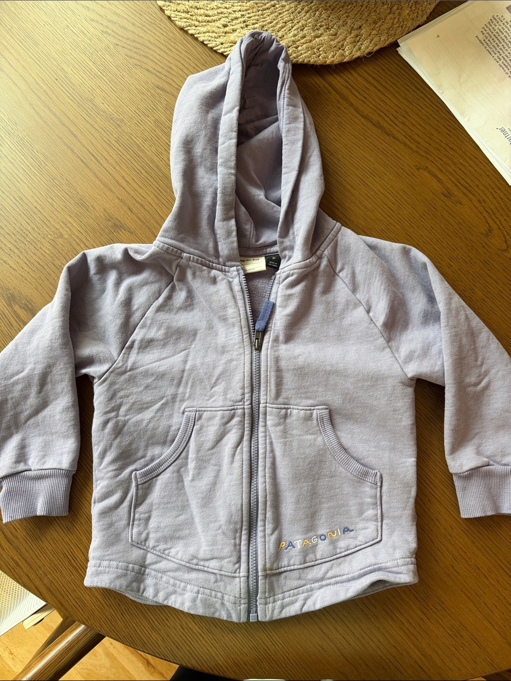 Patagonia Kids Lavender Zip Hoodie